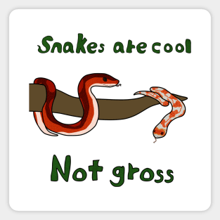 Cool Snakes Magnet